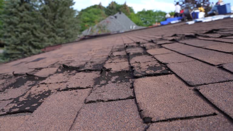 Best Metal Roofing Installation  in Waterville, OH