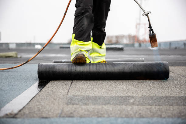 Best Storm Damage Roof Repair  in Waterville, OH