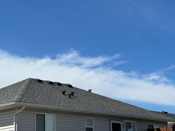 Best Cold Roofs  in Waterville, OH